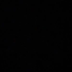 Meet your Posher, Eva